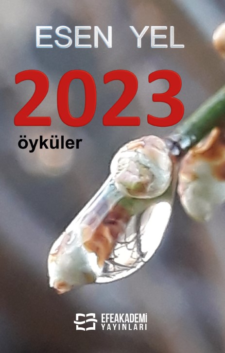 2023 2023