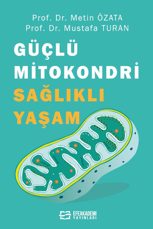 Güçlü Mitokondri Sağlıklı Yaşam Güçlü Mitokondri Sağlıklı Yaşam