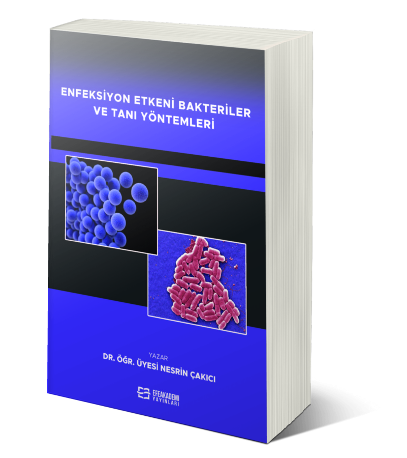 Enfeksiyon Etkeni Bakteriler ve Tanı Yöntemleri