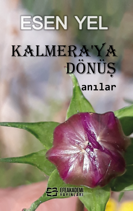 Kalmera'ya Dönüş