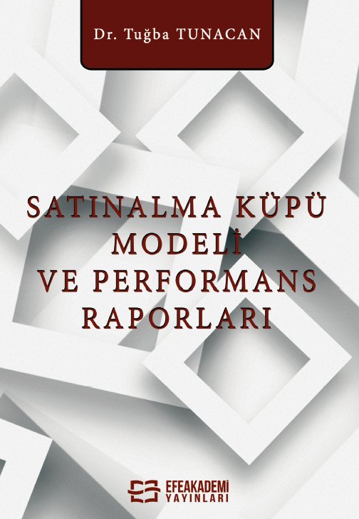 Satınalma Küpü Modeli ve Performans Raporları