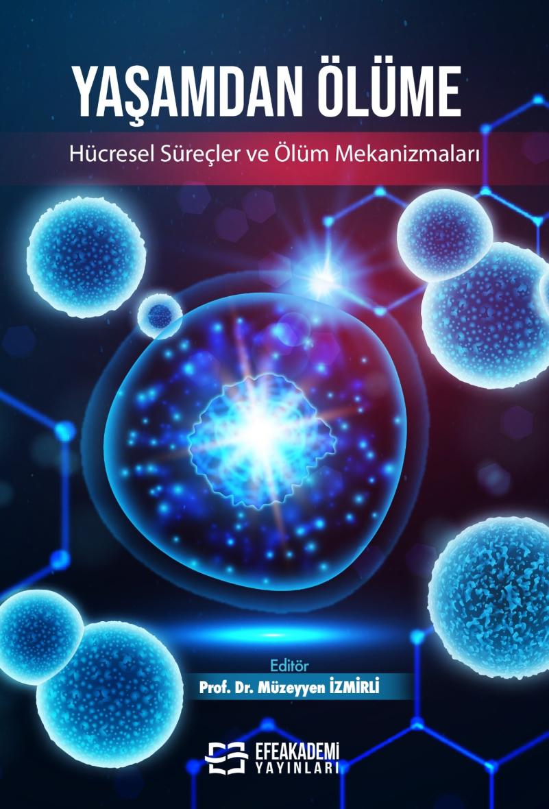 30 Haziran 2026 - Yaşamdan Ölüme: Hücresel
Süreçler ve Ölüm Mekanizmaları